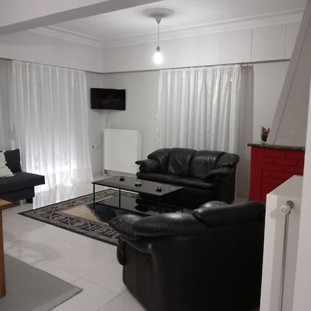 Spacious Apartment Anatoli Ioannina Luaran gambar